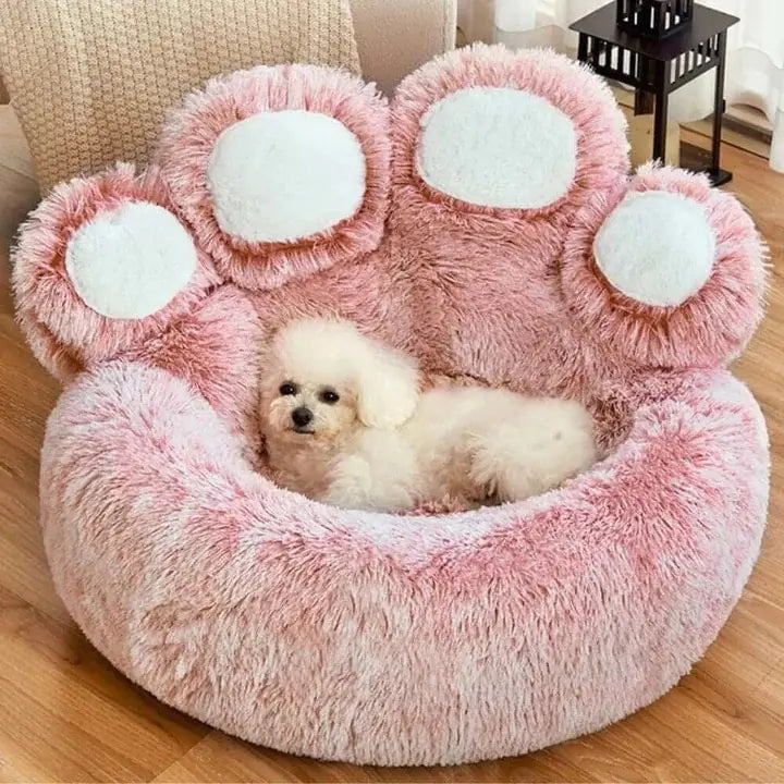 Bear Paw Pet Bed-What About Noah