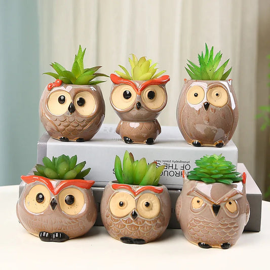 Ceramic Owl Planter-What About Noah