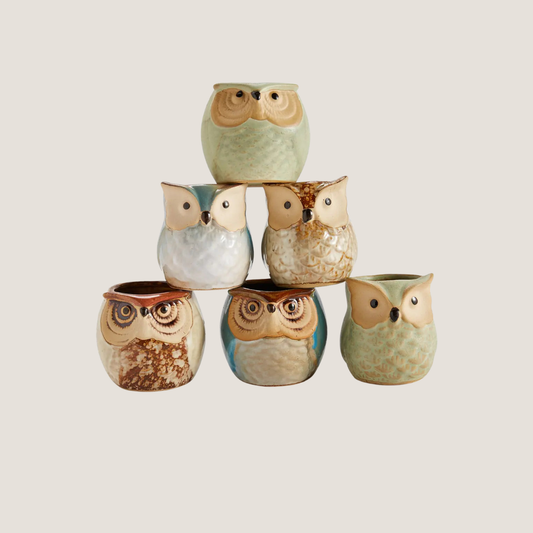 Miniature Ceramic Owl Pots-What About Noah