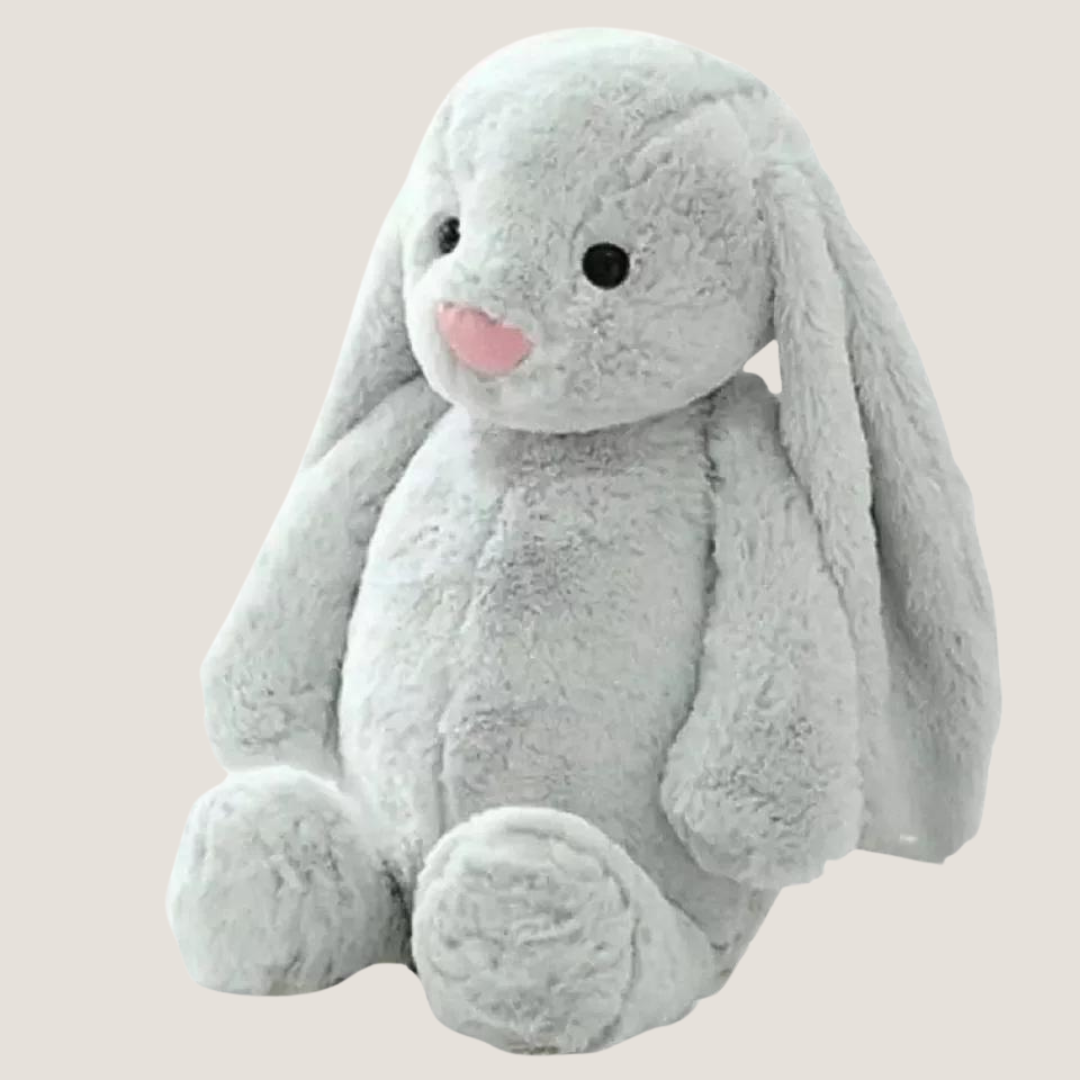 Rabbit Plush Toy-What About Noah