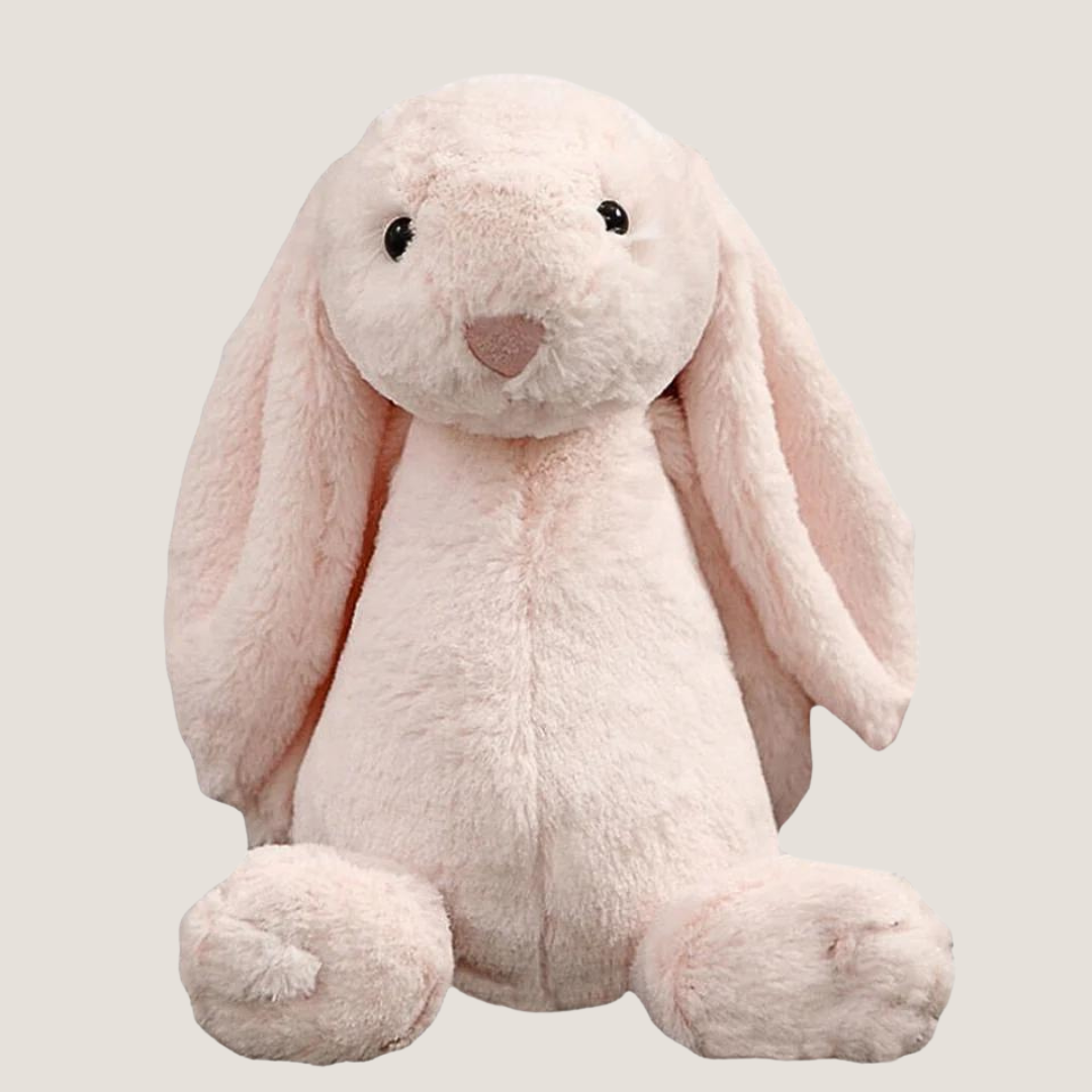 Rabbit Plush Toy-What About Noah