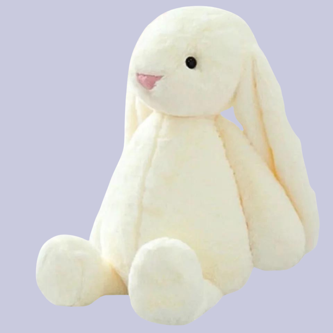Rabbit Plush Toy-What About Noah