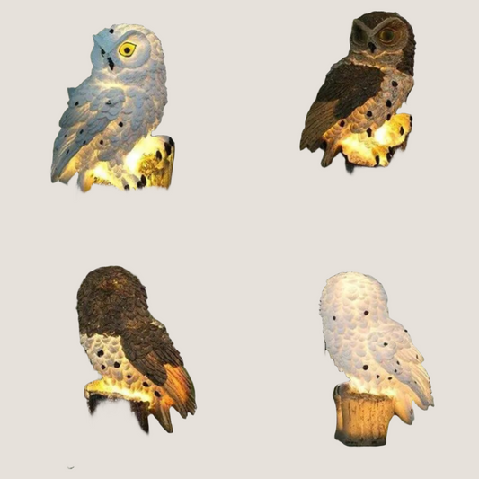 Solar Owl Shape Lawn Lamp-What About Noah